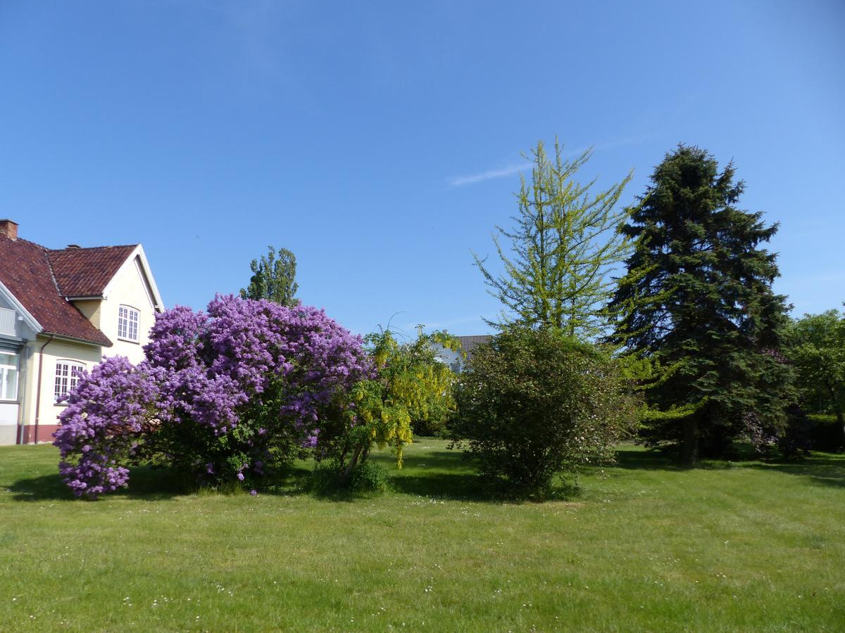 Birkely Bed And Breakfast Stege Zewnętrze zdjęcie